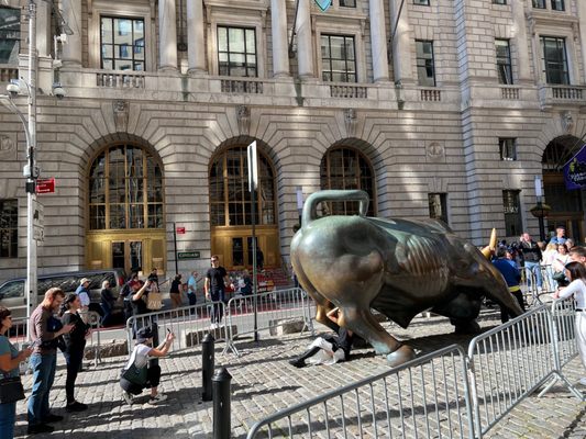 Charging Bull by null