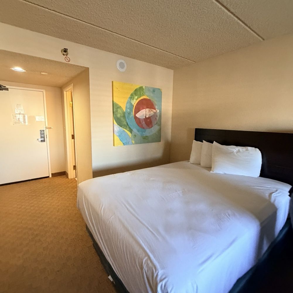 Tropicana Laughlin - A Caesars Rewards Destination - Hotels Near Me - Laughlin, Nevada Tropicana Laughlin - A Caesars Rewards Destination - Hotels Near Me - Laughlin, Nevada