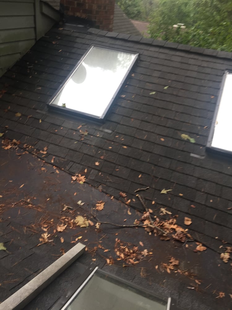 Slide of Southern Restoration