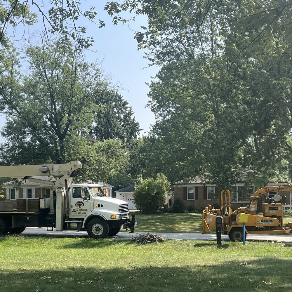 Wilson's Tree Service - Tree Services Near Me - North Ridgeville, Ohio Wilson's Tree Service - Tree Services Near Me - North Ridgeville, Ohio