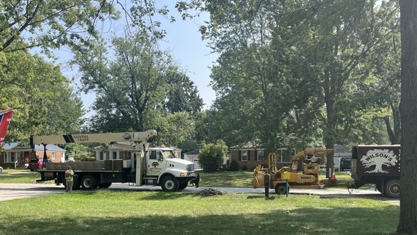 WILSON’S TREE SERVICE - Updated July 2026 - 18 Reviews - 5281 Jaycox Rd ...