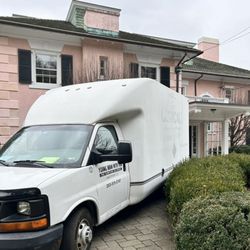 Young Man With Van - Local delivery 2024