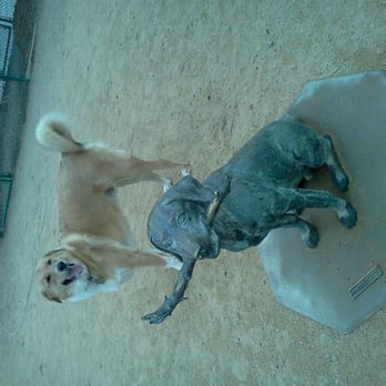 DeGarmo Park - Dog Parks Near Me - Chico, California