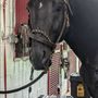 Photo of Brass Stables