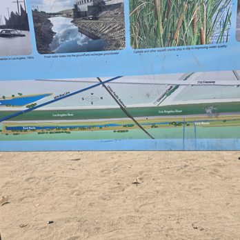 Dominguez Gap Wetlands photo 10