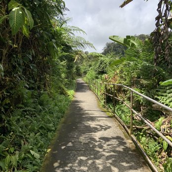 Akaka Falls State Park - Easy pathways - Parks Near Me - Honomu, Hawaii Akaka Falls State Park - Easy pathways - Parks Near Me - Honomu, Hawaii