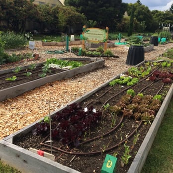 Learning Gardens Laboratory - Educational Services Near Me - Portland, Oregon