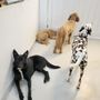 Photo of Ruff Club