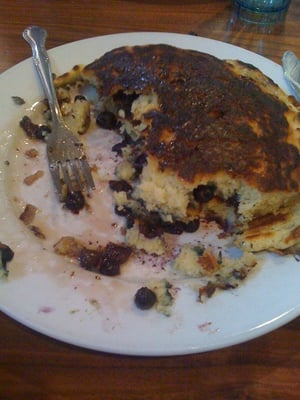 Sweet Sue's Phoenicia by null