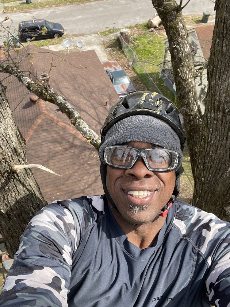 D&J Tree Huggers - tree service in Memphis, TN