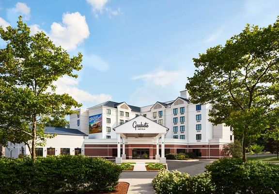 Graduate by Hilton Storrs by null