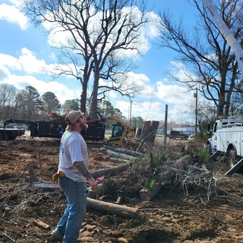 5 Starr Tree Service - Tree Services Near Me 5 Starr Tree Service - Tree Services Near Me