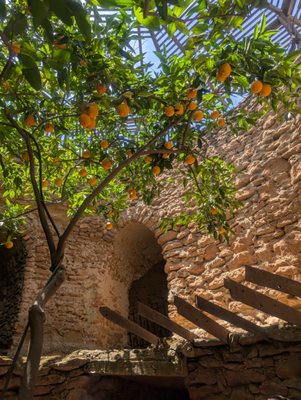 Forestiere Underground Gardens by null