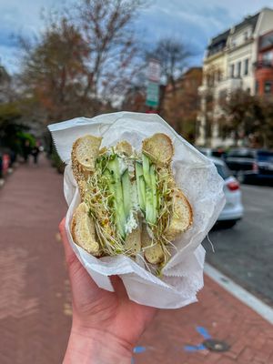 Bagels Etc. by null