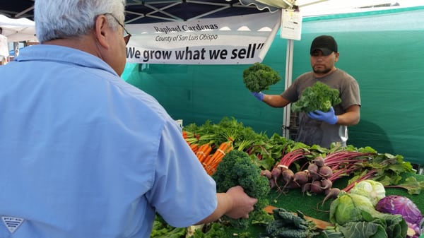 Galleria @ Tyler Farmers Market by null