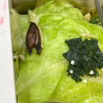 Panda Express - insect in the super greens - Chinese Near Me - Pinole, California