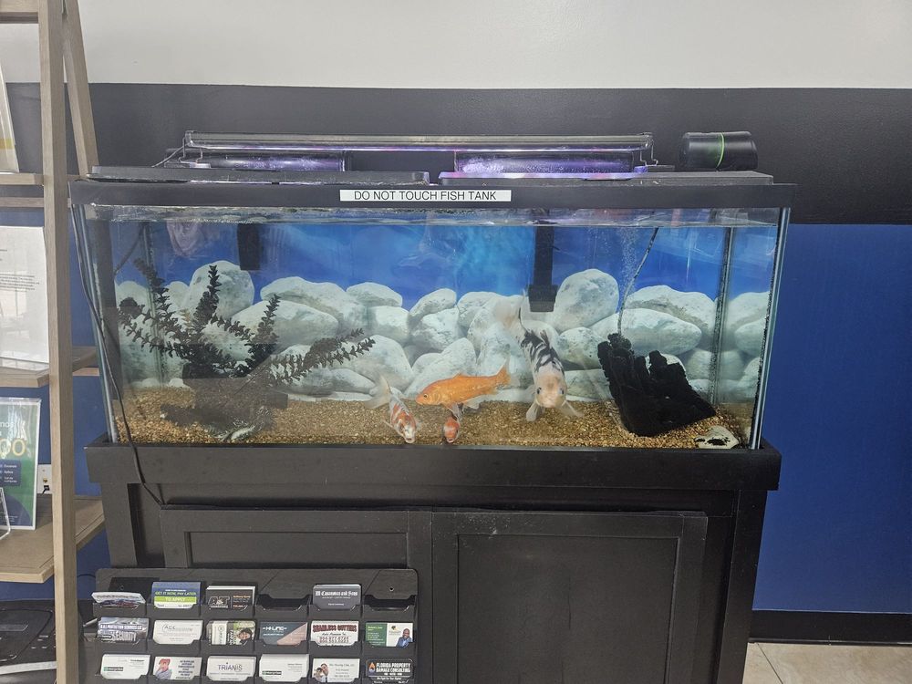 AACTION BETTER BUILT TRANSMISSIONS Updated September 2024 21 Photos