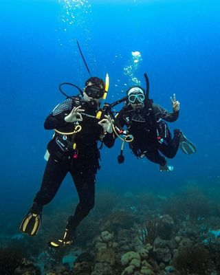 SCUBA Network - Manhattan