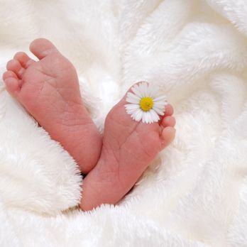 Praise Doula - Doulas Near Me Praise Doula - Doulas Near Me