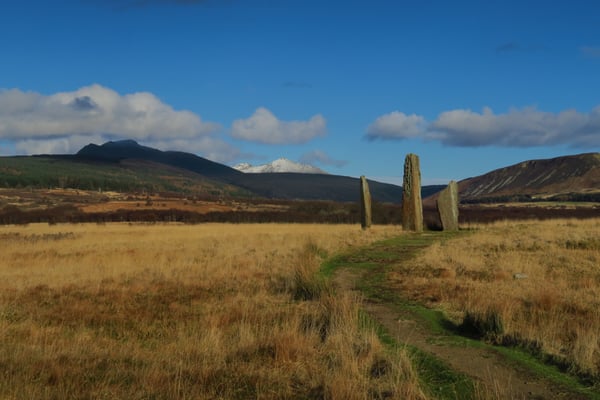 Machrie Moor Standing Stones by null