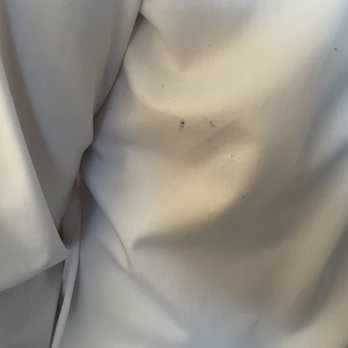 Eco Green Cleaner - Right out of the bag - Sewing & Alterations Near Me - East Brunswick, New Jersey
