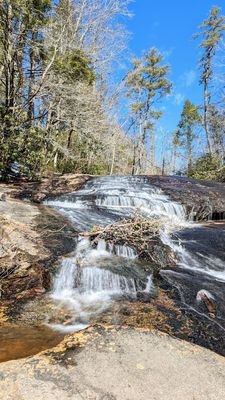 DuPont State Recreational Forest by null