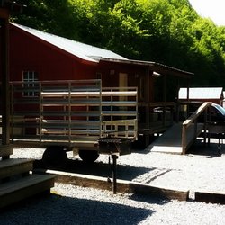Wild Willy's ATV Rezort - Wild Willy's ATV Rezort Cabin Rentals from $110 + tax per night