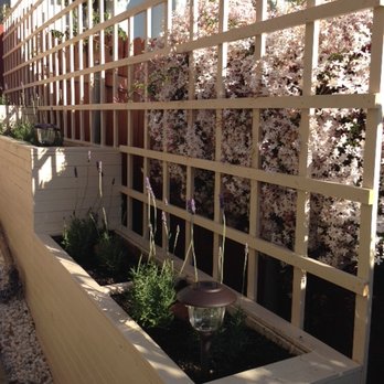 Smart Sustainable Solutions - custom planters and trellis with lavender on side of yard after - Landscape Architects or Designers Near Me - Los Angeles, California Smart Sustainable Solutions - custom planters and trellis with lavender on side of yard after - Landscape Architects or Designers Near Me - Los Angeles, California