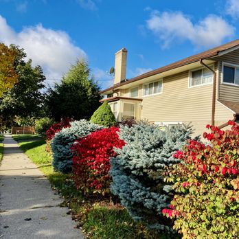 Xian Qi Wu - Outside of clinic - Acupuncture Near Me - Brampton, Ontario