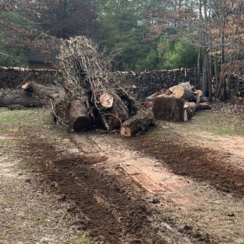 God's Way Tree Service - Pecan Logs Dropped in January 23 - Tree Services Near Me - Greensboro, North Carolina God's Way Tree Service - Pecan Logs Dropped in January 23 - Tree Services Near Me - Greensboro, North Carolina