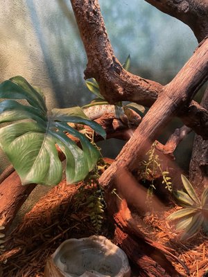 Central Park Zoo by null