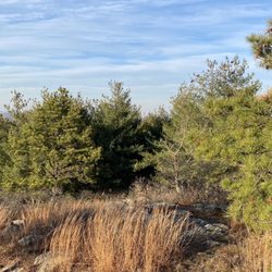 Blue Hills Reservation