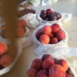 Oildale Farmers Market - Pluots