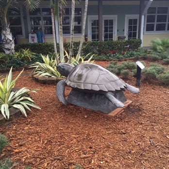 Loggerhead Marinelife Center - Community Service/Non-Profit Near Me - Juno Beach, Florida Loggerhead Marinelife Center - Community Service/Non-Profit Near Me - Juno Beach, Florida