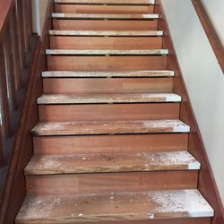 Mr. Handyman of Ocala to West Apopka - Carpet removed, before work