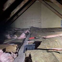 Before with old insulation and rodent infestation Before with old insulation and rodent infestation