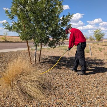 Patriot Pest & Termite Control - Pest Control Near Me - Prescott, Arizona Patriot Pest & Termite Control - Pest Control Near Me - Prescott, Arizona