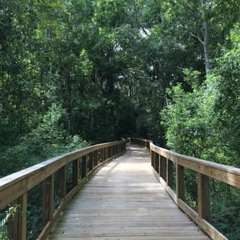 Tree Hill Jacksonville's Nature Center - Parks Near Me - Jacksonville, Florida