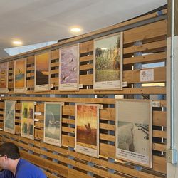 Blue Surf Cafe