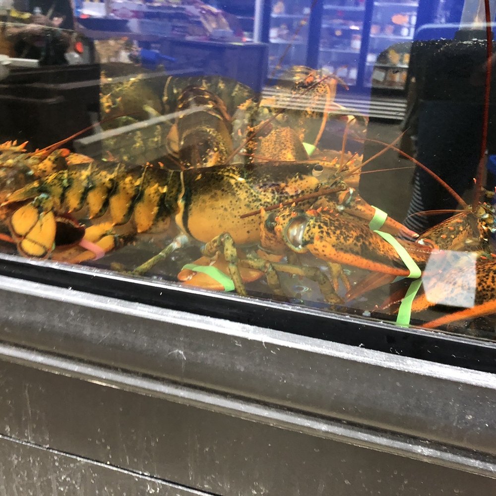 Groomer's Seafood - Lobster - Seafood Markets Near Me - San Antonio, Texas Groomer's Seafood - Lobster - Seafood Markets Near Me - San Antonio, Texas