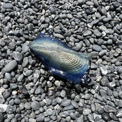 Black Sands Beach