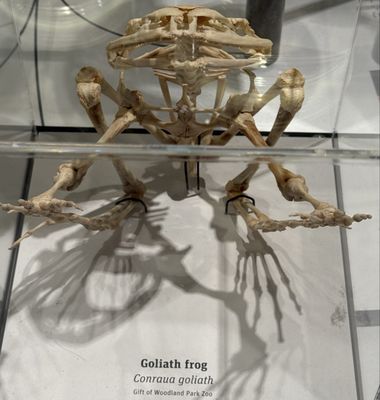 Burke Museum of Natural History and Culture by null Burke Museum of Natural History and Culture by null