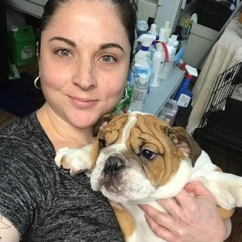 Canine Grooming Shoppe - Stephanie Dancho, Groomer - Pet Groomers Near Me - Bethlehem, Pennsylvania