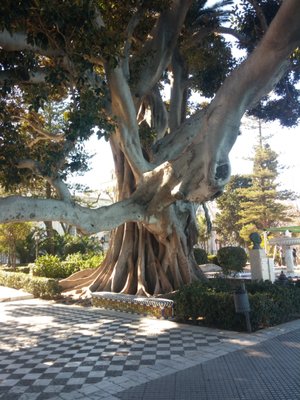 Baluarte de la Candelaria by null