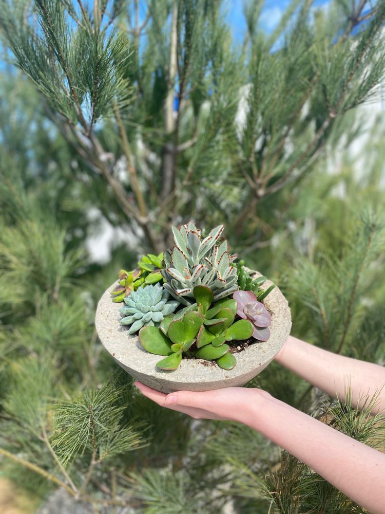 LUXURY GARDEN CENTER Updated October 2024 Request a Quote 1757 W