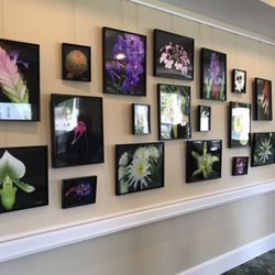 The Glenridge On Palmer Ranch - Amazing art work!