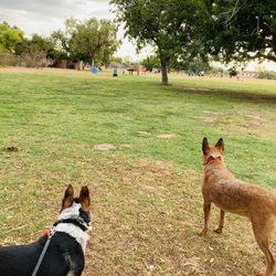 Fort Lowell Park