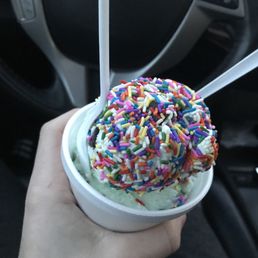 Mint Chocolate Chip Ice Cream
