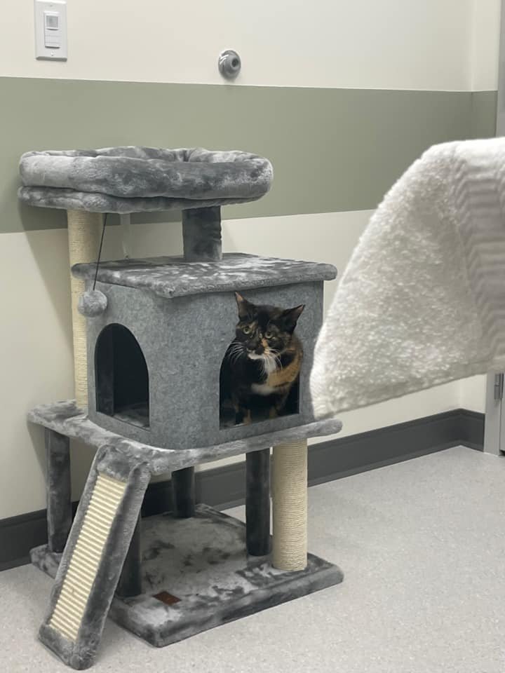 RIVERWALK PET HOSPITAL & RESORT 27 Photos 3985 Grapevine Mills Pkwy, Grapevine, Texas