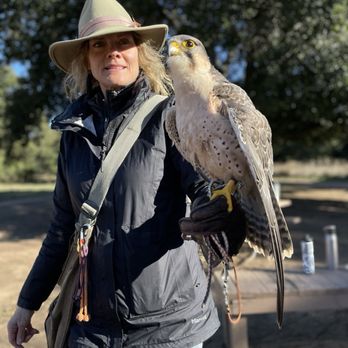 Sky Falconry - Specialty Schools Near Me - Alpine, California Sky Falconry - Specialty Schools Near Me - Alpine, California